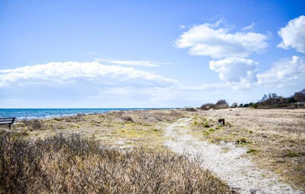 Cosy Cottage By The South Coast Trelleborg Bagian luar foto